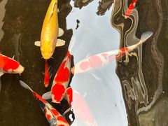 -福建民俗博物馆