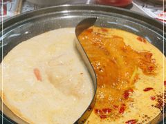 -生活如沸·顺德水牛奶火锅(大学路店)