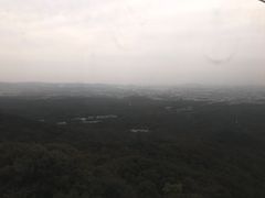 -紫金山山顶公园