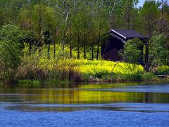 -溱湖国家湿地公园