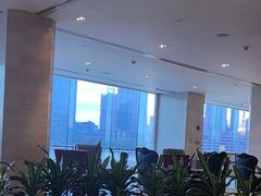 -广州白天鹅宾馆