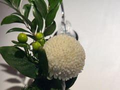 -佐度王子扒房(天鹅湖店)