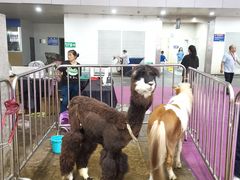 -重庆国际会议展览中心