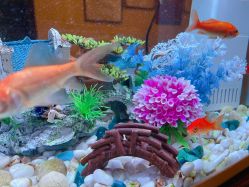 -YZ誉株·塑颜美容中心