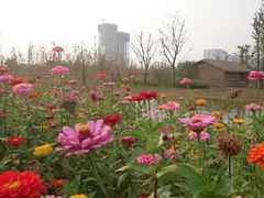 android_upload_pic-尚贤河湿地