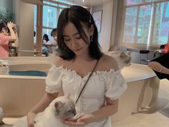 -有猫咖啡umeow coffee