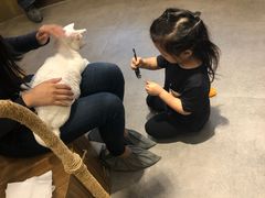 -飞行喵MR PILOT|猫舍·猫咖(静安大融城店)