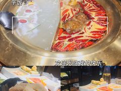 脆嫩毛肚-川味观·鲜货火锅(景芳水湘店)