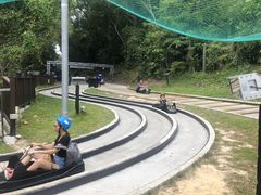 -圣淘沙天际线斜坡滑车