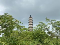 -巢湖姥山岛