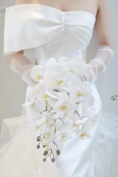 -Lady  Jane高端婚纱礼服馆