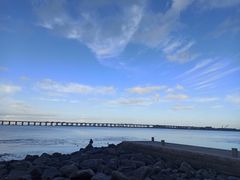 -宝安西湾红树林湿地公园