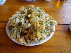 花椒芽-劳模山庄