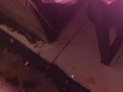 -鑫朱雀农贸批发市场