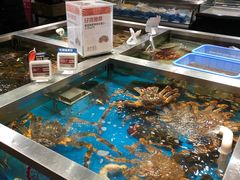 水产区-盒马鲜生(189购物中心店)