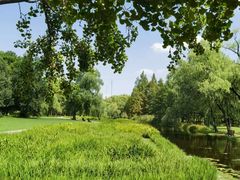 -上海共青森林公园