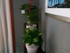 -黔蘑菇四季餐厅(观山湖店)