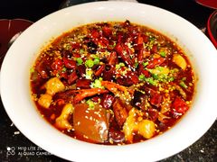 鸭血肥肠煲-爱玲EILEEN(环球金融中心店)