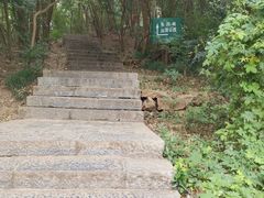 -紫金山索道-售票处