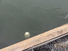 -DGE季风钓虾营地·团建·聚会