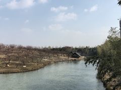 -乌村
