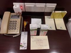 -春兰国宾馆(凤城河风景区老街店)