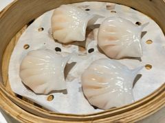 -洋洋中餐馆·SINCE 1997(信投店)