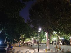 -武汉两江游览·夜游长江(汉口粤汉码头)