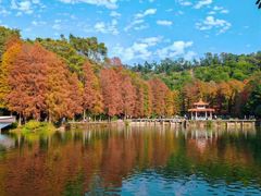 -深圳仙湖植物园