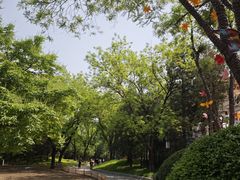 -丰台花园