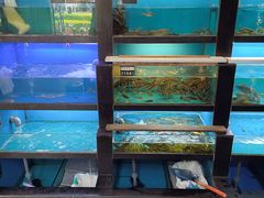 -曾牛土菜(捷瑞达店)