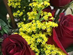 -花冠鲜花(勿忘我花店)