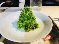 小豆苗拌鲜桃仁-京味斋·北京烤鸭(华威桥北工大店)