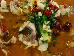 picture-焯明脆肉鲩世家(金沙洲店)