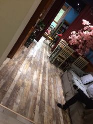 -星豆豆儿童摄影(南郊太白南路店)