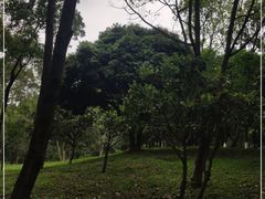-燕晗山郊野公园
