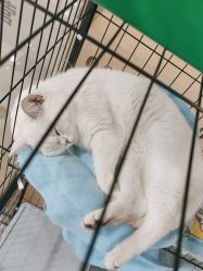 点击看大图 -镁连社·美联社