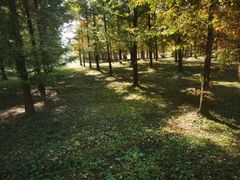 -黄海国家森林公园