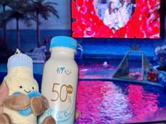 -海合安成都极地海洋公园
