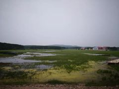 -塞罕坝国家级自然保护区