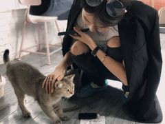 -喵屿·大理花园猫咖