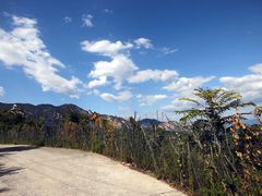 -阳台山自然风景区