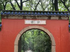 -灵谷景区