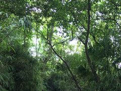 -西郊宾馆·1921餐厅
