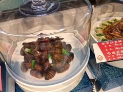 -东北大院·东北菜(三台子店)