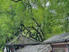 -荔湾湖公园