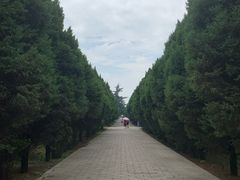 -秦始皇帝陵博物院-丽山园