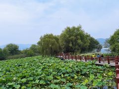 -长兴太湖图影湿地文化园