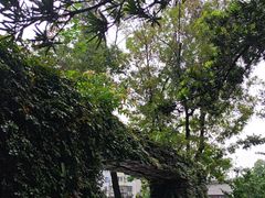 -温江公园
