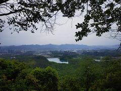 -大奇山国家森林公园